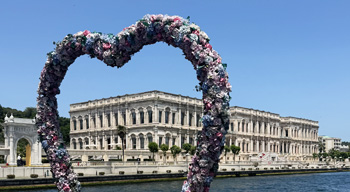2 Hours Bosphorus Boat Tours - Morning Tour