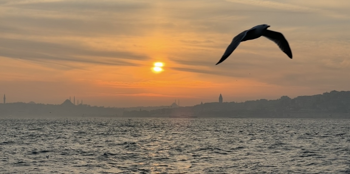 2 Hours Bosphorus Boat Tours